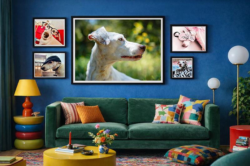 ladyleyka-cuadros-retratos-colgados-en-espacios-3