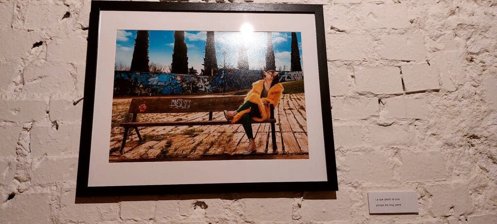 Cuadro Humanimales Perra sentada