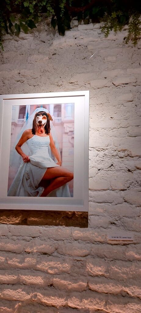 Cuadro Humanimales Novia