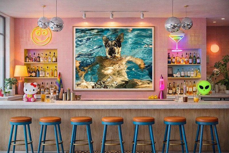 ladyleyka-humanimales-colgados-en-pared-2